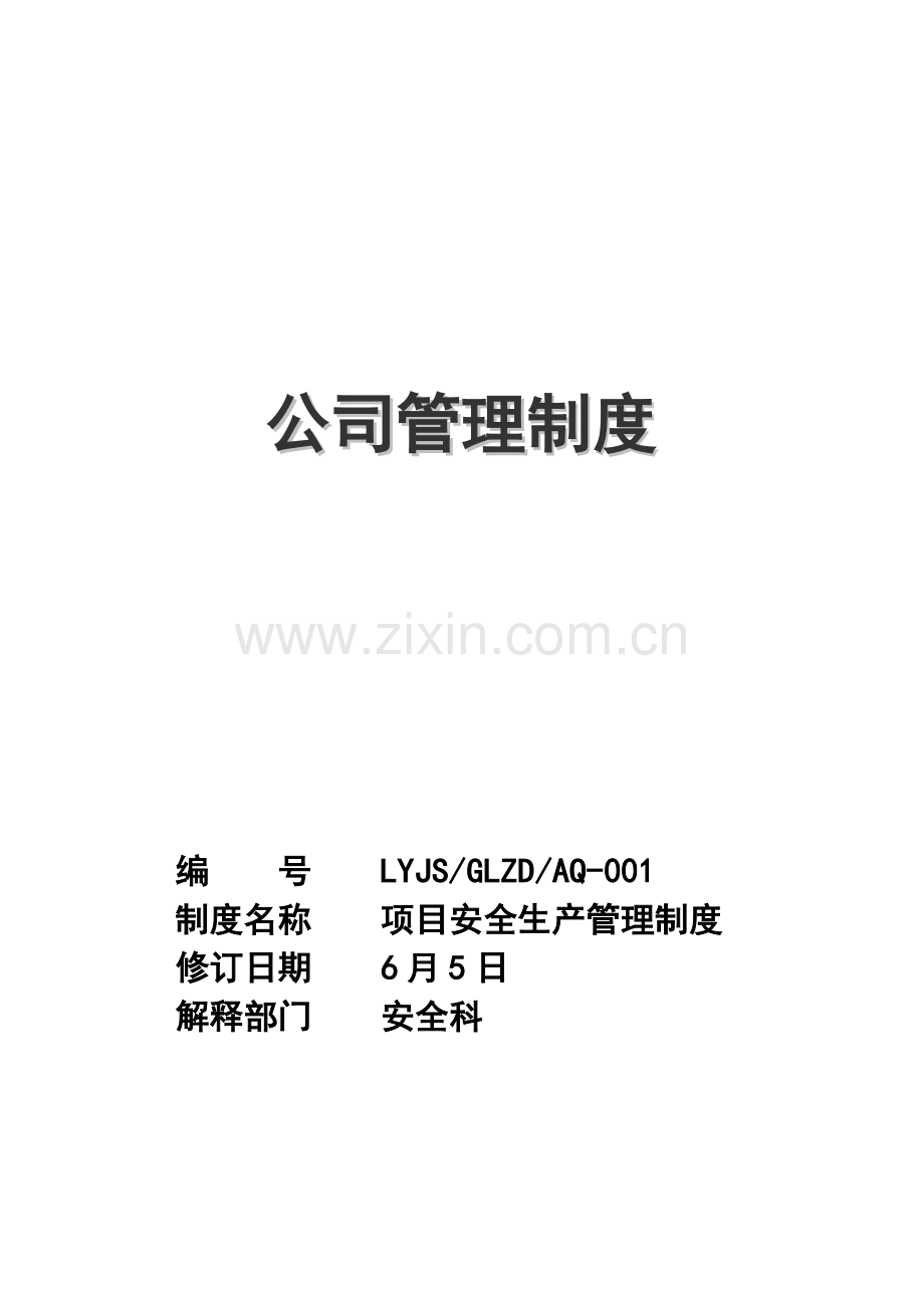 专项项目安全生产管理新版制度.docx_第1页