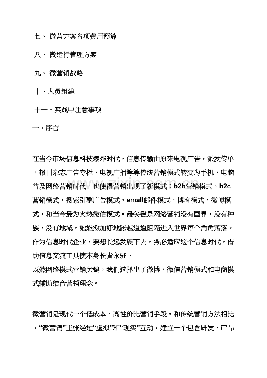 微营销专业策划专项方案.docx_第2页