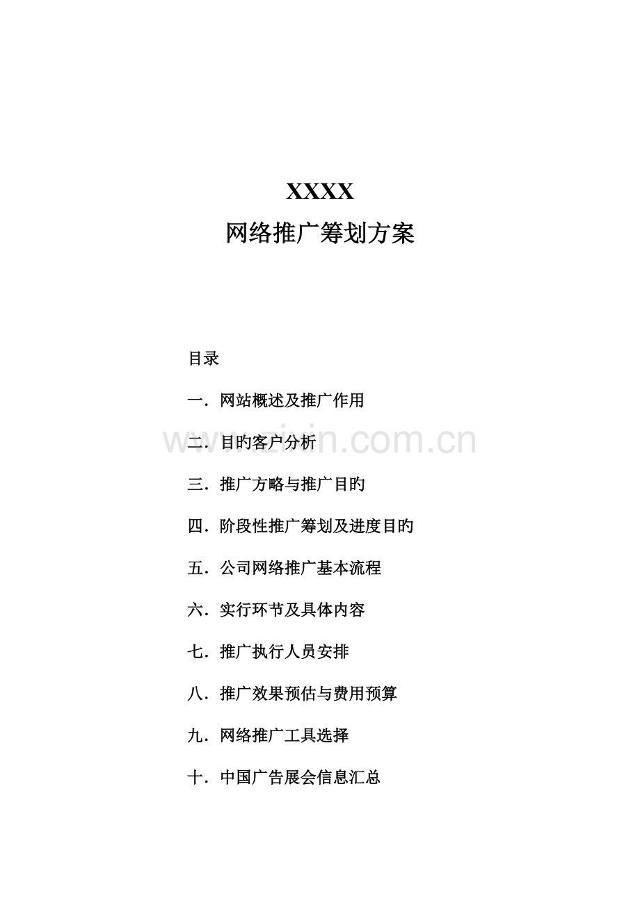 公司网站网络推广综合计划专题方案.docx_第1页