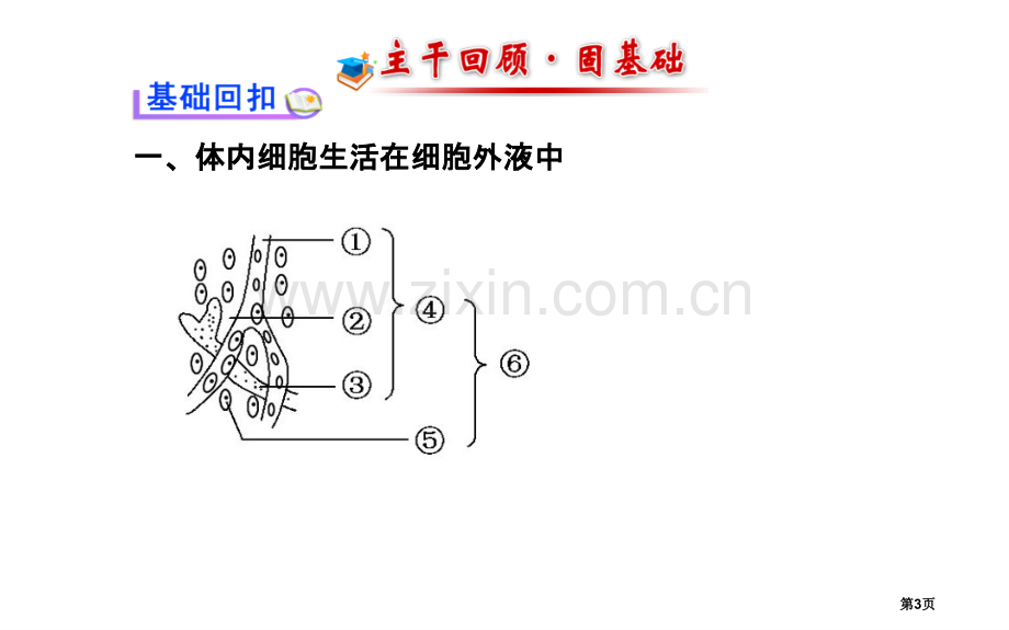 届高三生物金榜频道一轮必修人体的内环境与稳态市公开课一等奖百校联赛特等奖课件.pptx_第3页