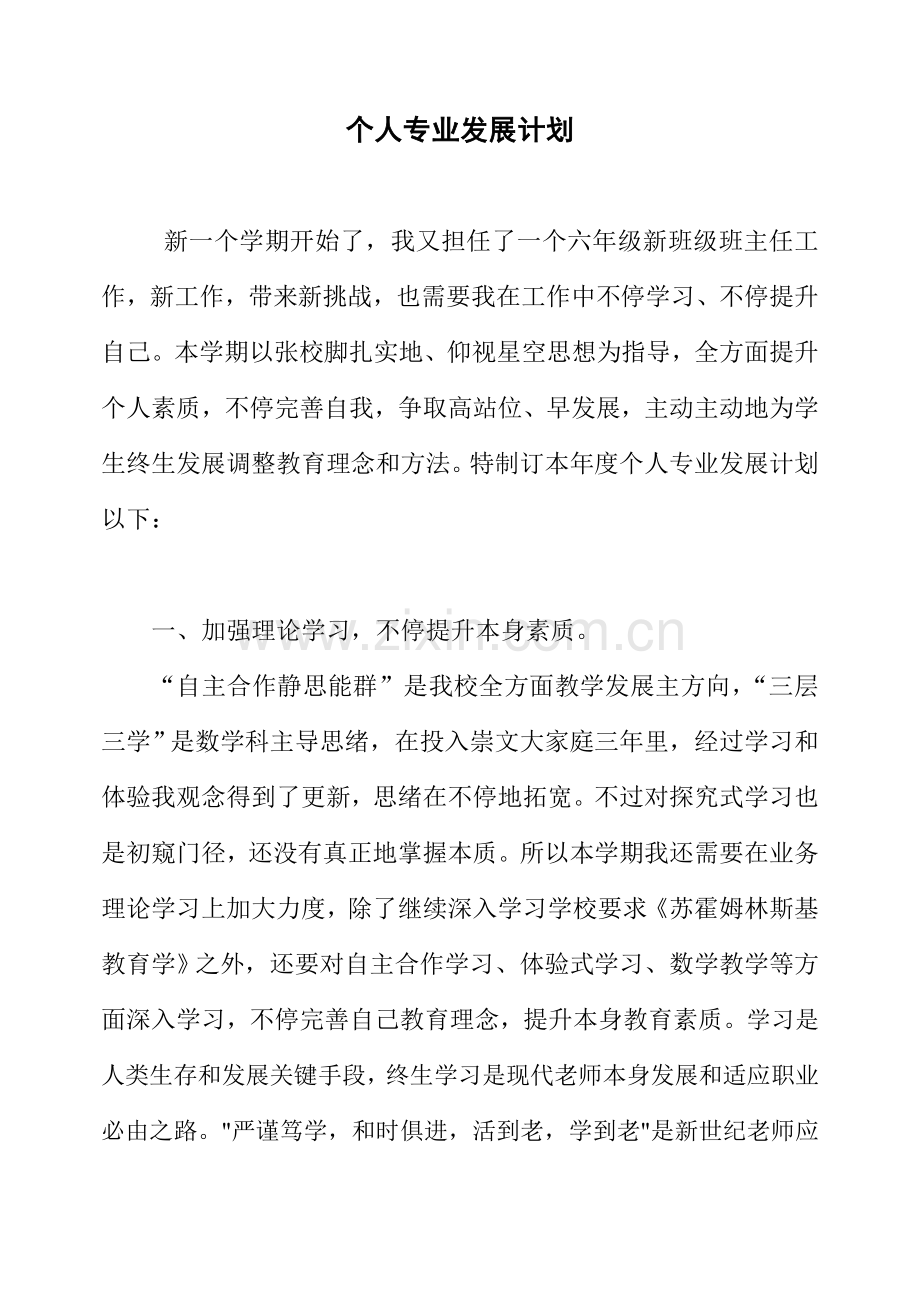 初中数学教师个人专业发展综合规划.doc_第1页