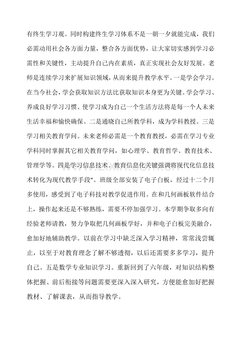 初中数学教师个人专业发展综合规划.doc_第2页