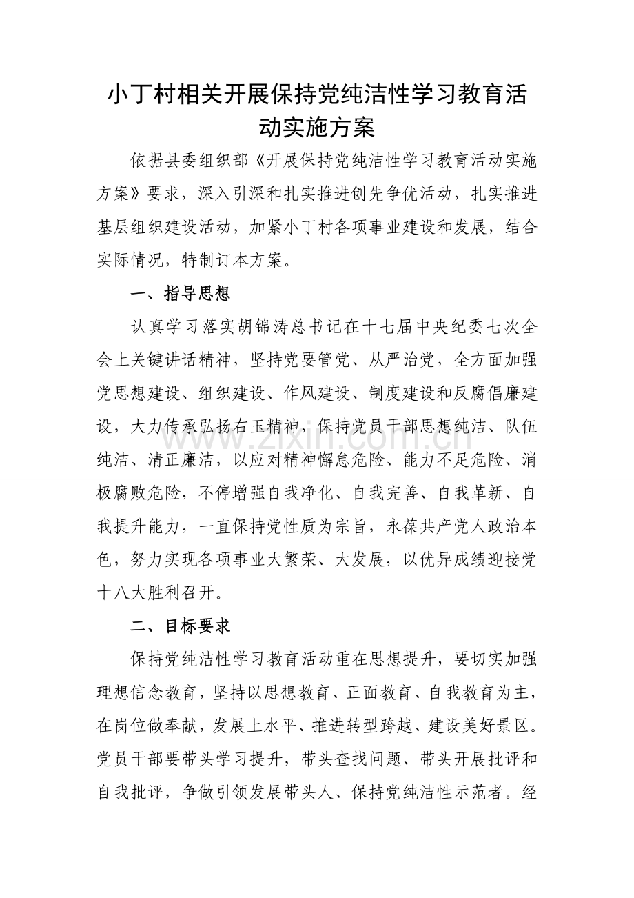 小丁村保持党的纯洁性活动实施专项方案.doc_第1页