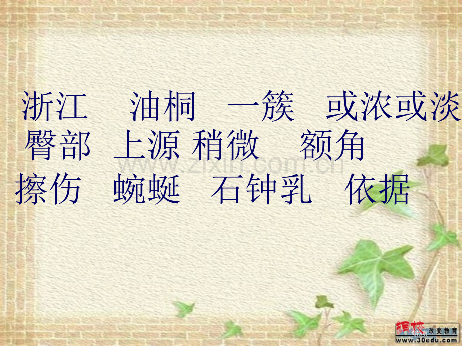 小学生语文记金华的双龙洞PPT素材省公共课一等奖全国赛课获奖课件.pptx_第3页