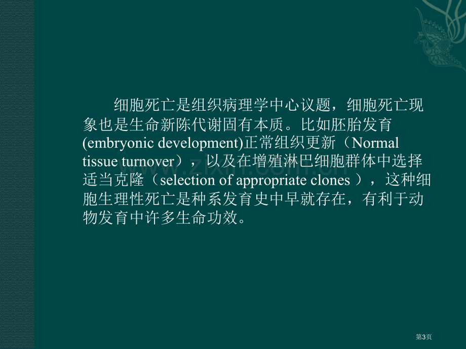 中图版必修一细胞凋亡省公共课一等奖全国赛课获奖课件.pptx_第3页