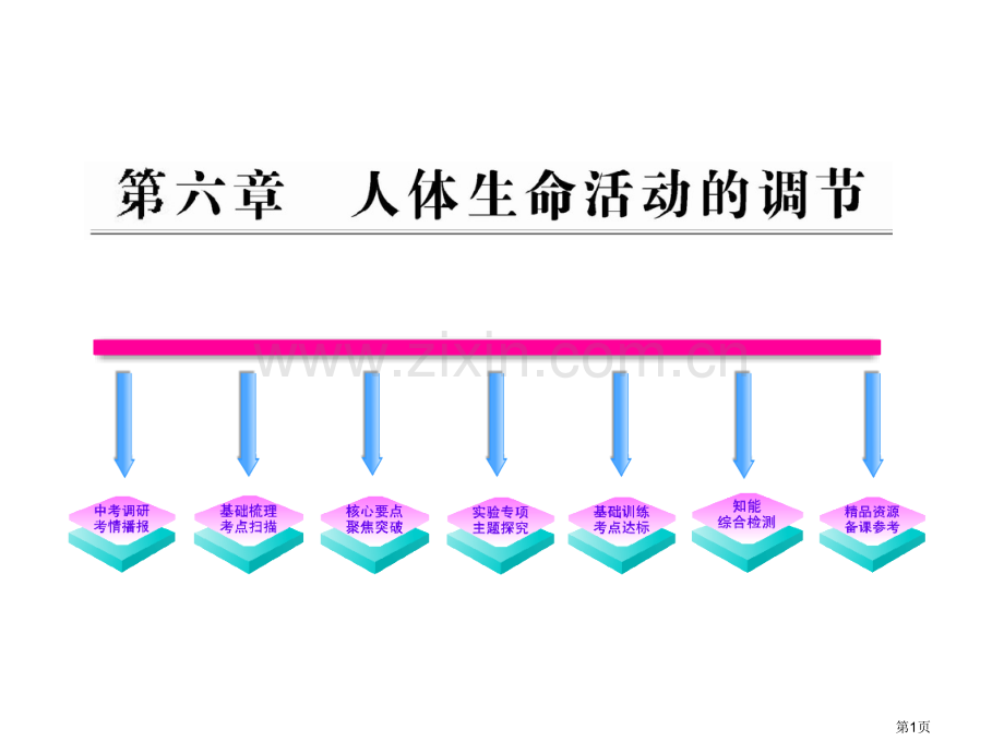 复习省公共课一等奖全国赛课获奖课件.pptx_第1页