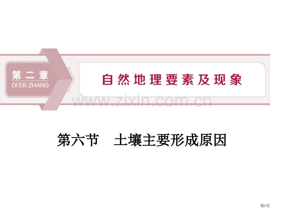 土壤的主要形成因素自然地理要素及现象课件省公开课一等奖新名师比赛一等奖课件.pptx_第1页