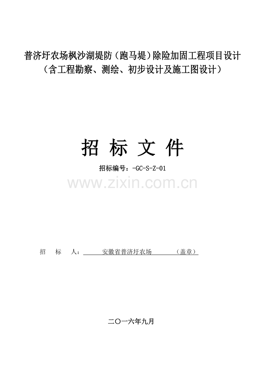 农场枫沙湖堤防除险加固工程项目设计招标文件模板.doc_第1页