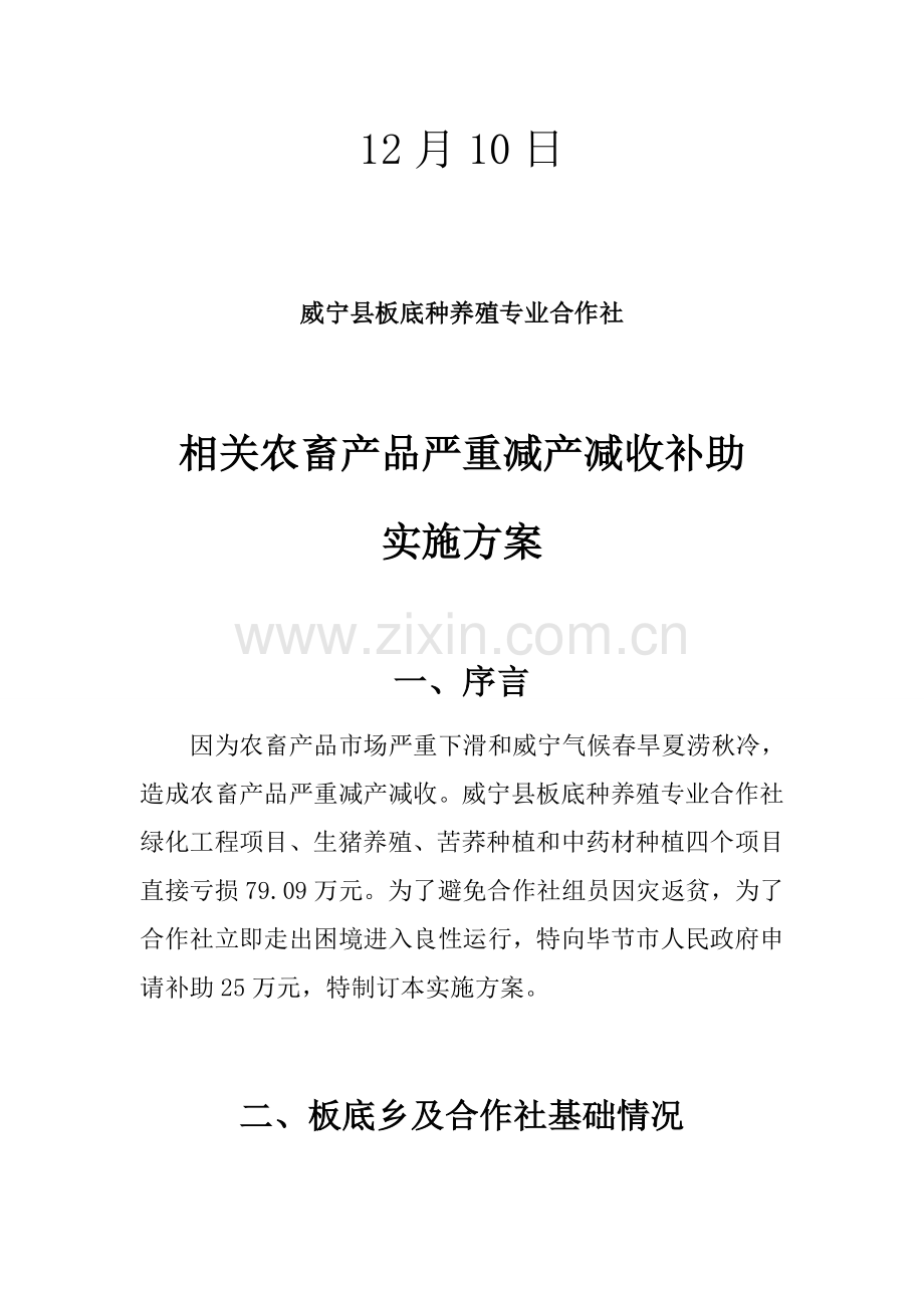 威宁县板底种养殖专业合作社实施专项方案.docx_第2页