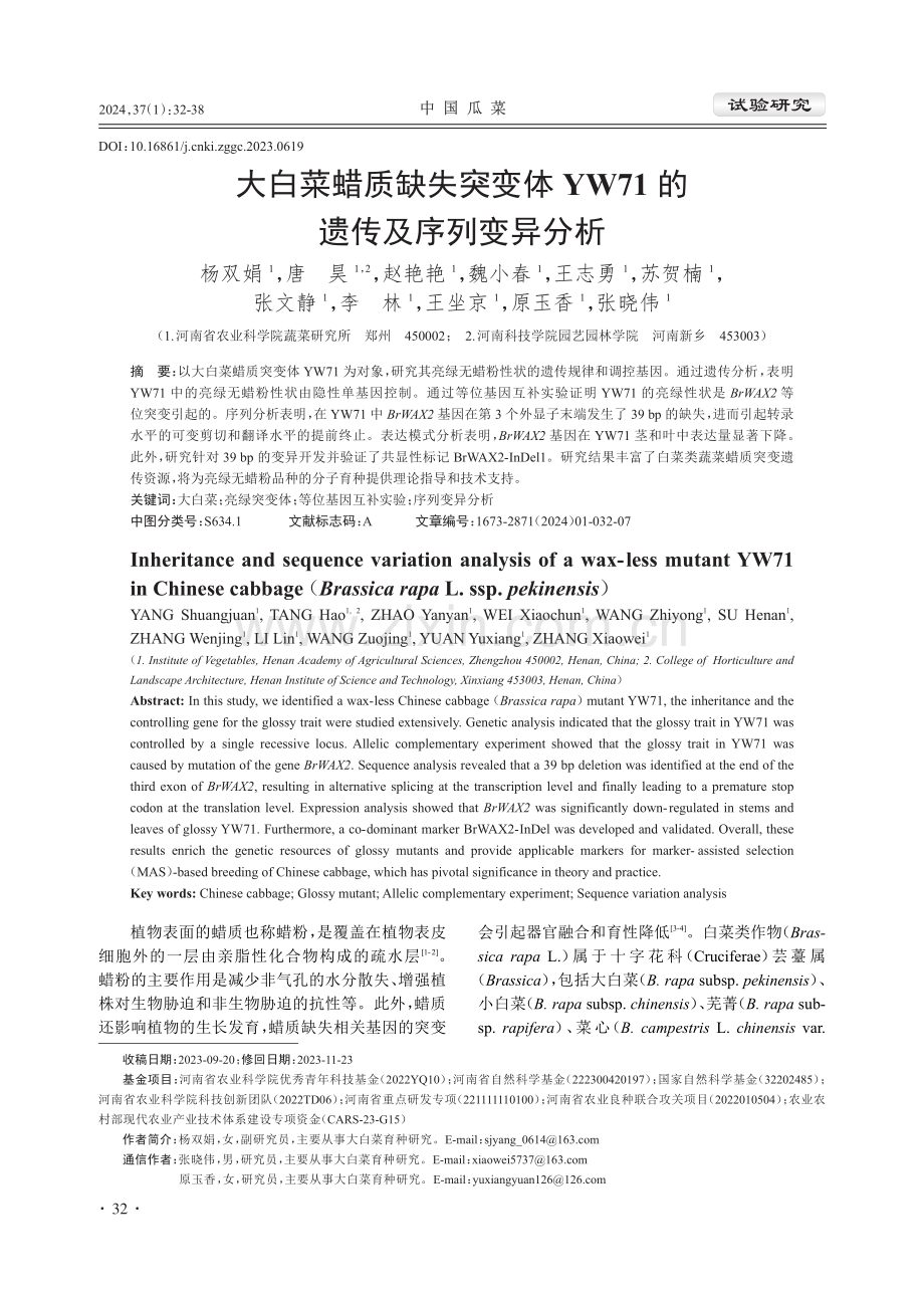 大白菜蜡质缺失突变体YW71的遗传及序列变异分析.pdf_第1页