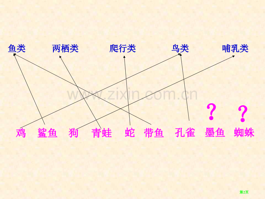 七年级科学无脊椎动物省公共课一等奖全国赛课获奖课件.pptx_第2页