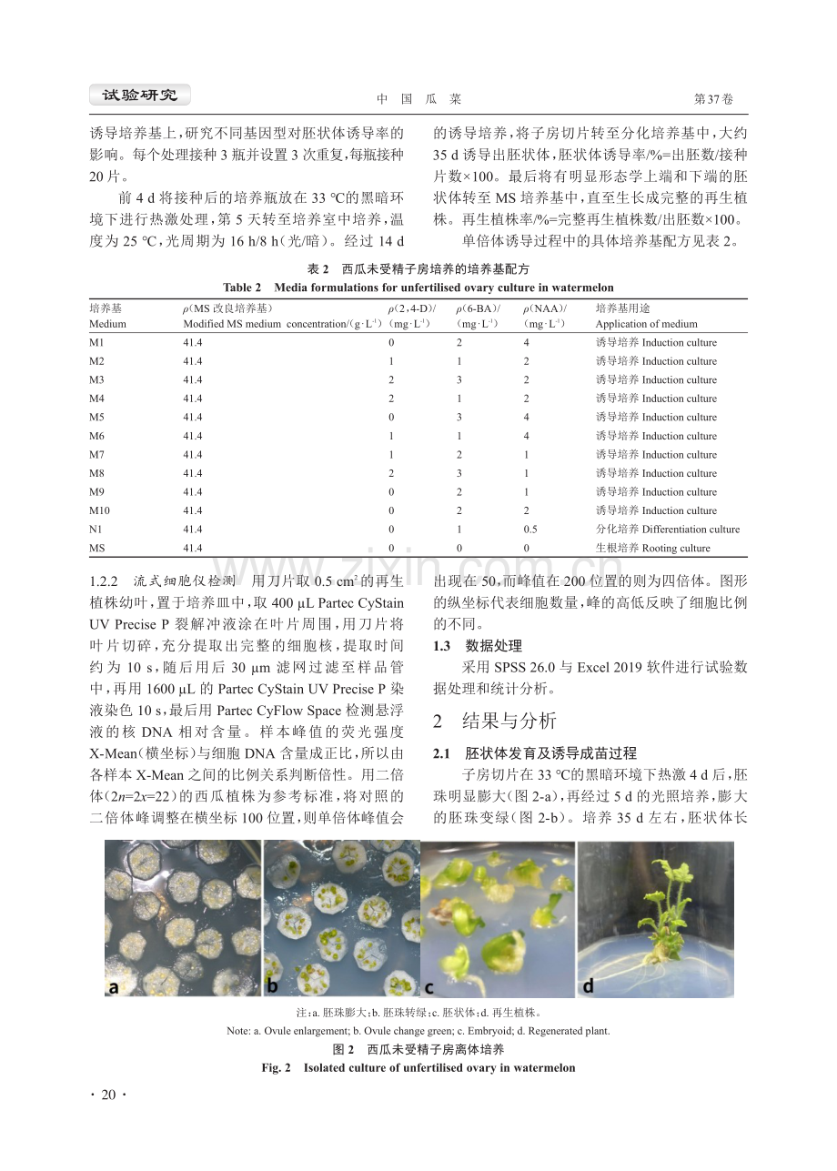 不同果型西瓜单倍体诱导技术优化.pdf_第3页