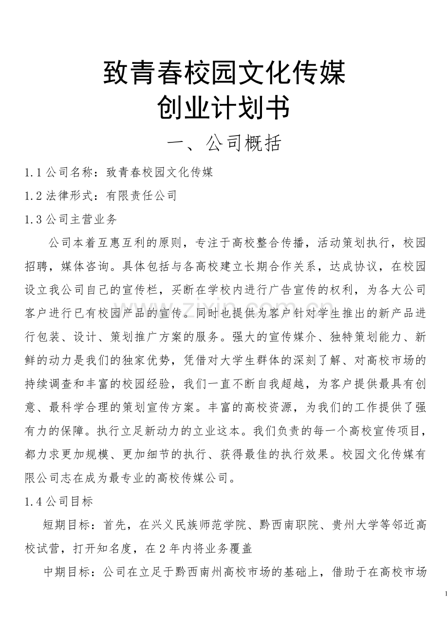 致青春校园文化传媒公司可行性研究报告.doc_第1页