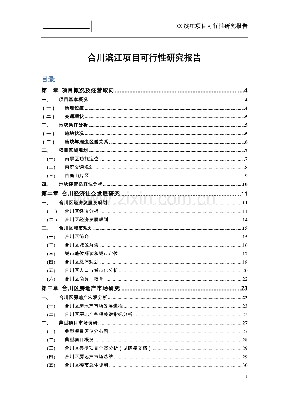 合川滨江项目可行性研究报告.doc_第1页