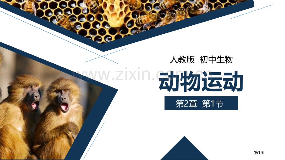 动物的运动省公开课一等奖新名师比赛一等奖课件.pptx_第1页