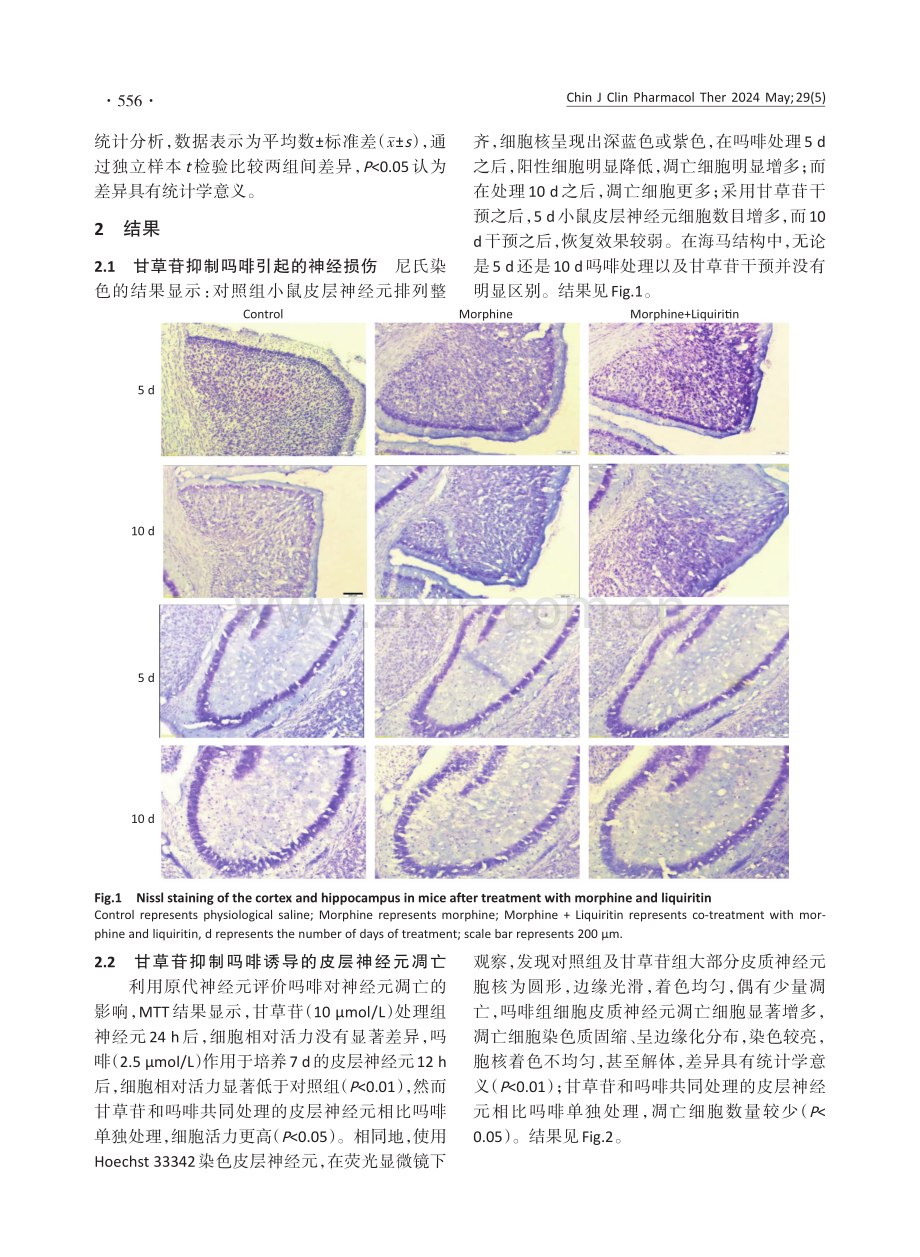 甘草苷抑制吗啡引起的神经损伤作用及机制.pdf_第3页