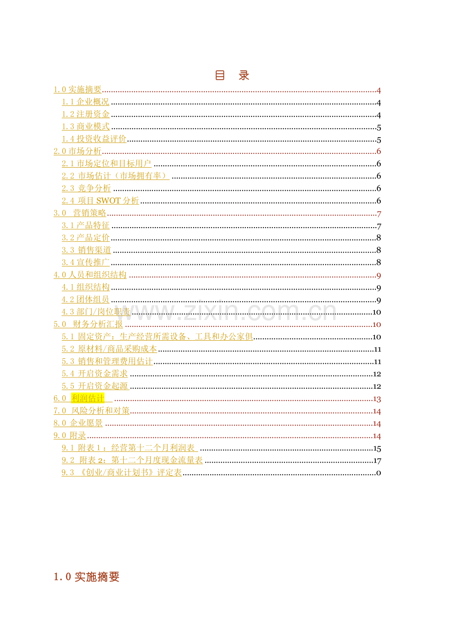 创业商业专项计划书模板.doc_第3页