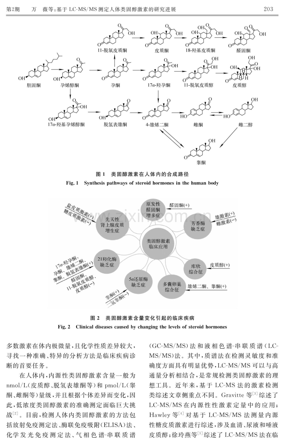 基于LC-MS_MS测定人体类固醇激素的研究进展.pdf_第3页