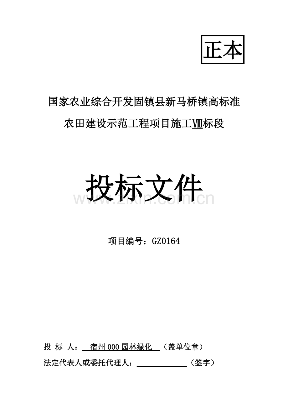 农田建设示范工程项目施工投标文件模板.doc_第1页