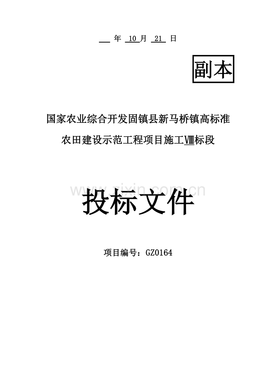 农田建设示范工程项目施工投标文件模板.doc_第2页