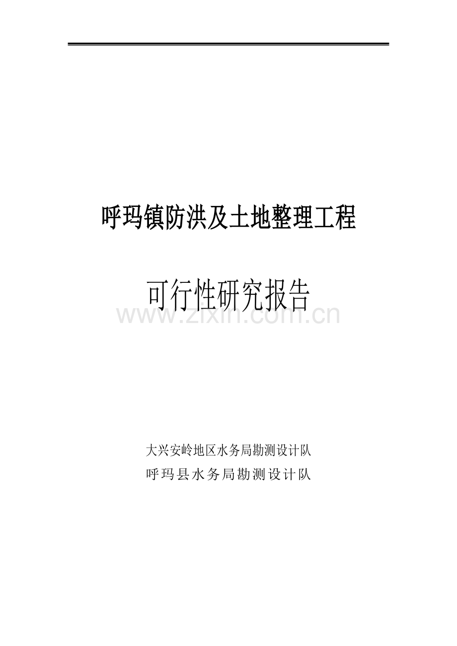 防洪工程及土地整理可行性研究报告.doc_第1页