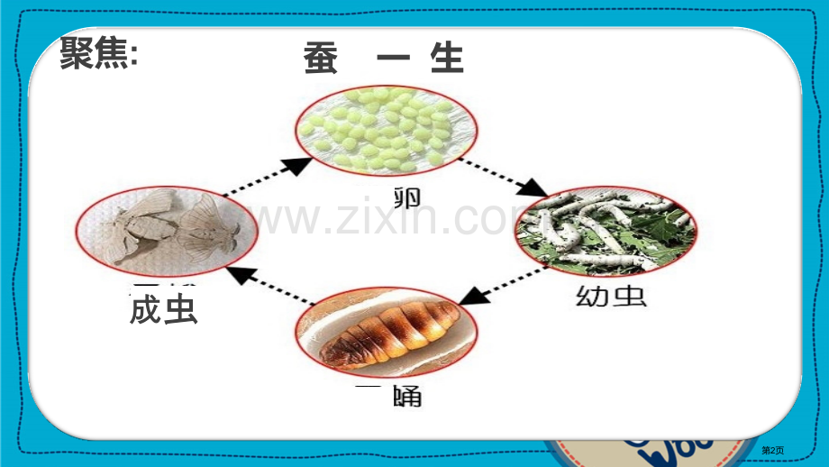 动物的一生课件省公开课一等奖新名师比赛一等奖课件.pptx_第2页