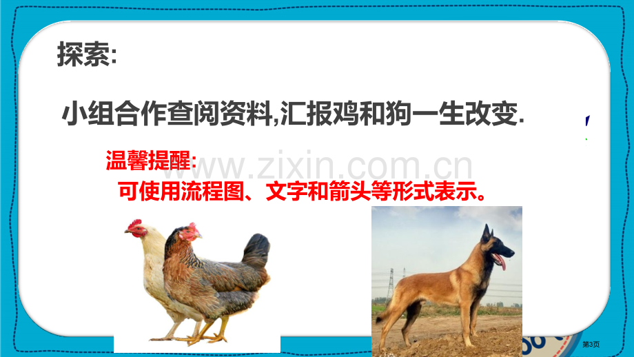 动物的一生课件省公开课一等奖新名师比赛一等奖课件.pptx_第3页