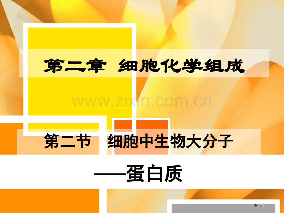 人教版教学江苏省南京市建邺高级中学生物必修一细胞中的生物大分子蛋白质省公共课一等奖全国赛课获奖课件.pptx_第1页