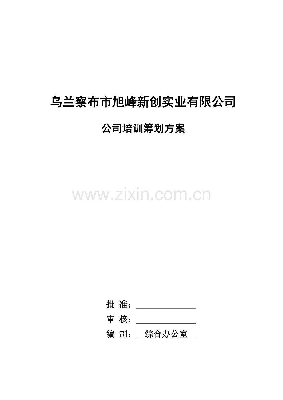 实业有限公司培训综合计划专题方案.docx_第1页