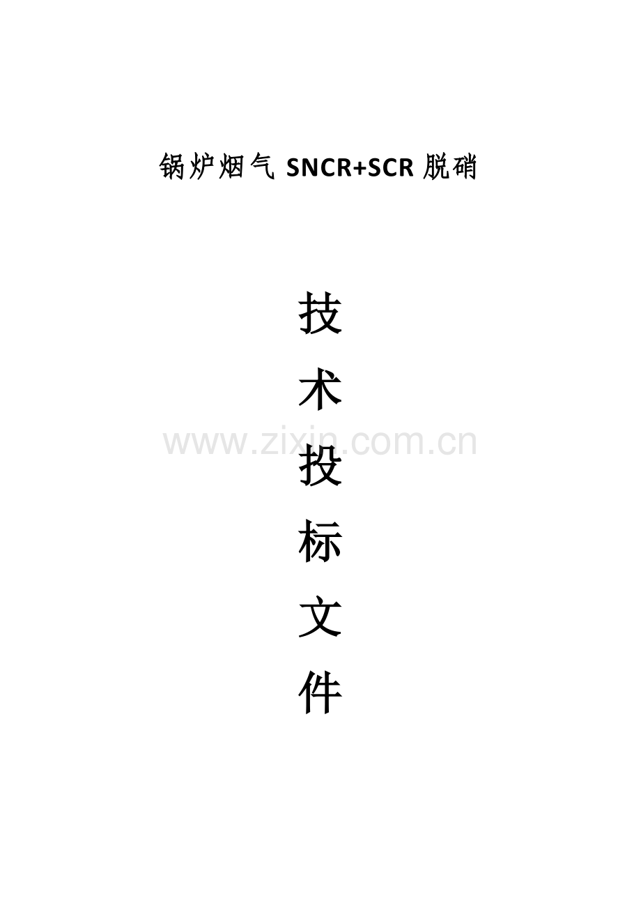 SNCRSCR专项方案专业资料.doc_第1页