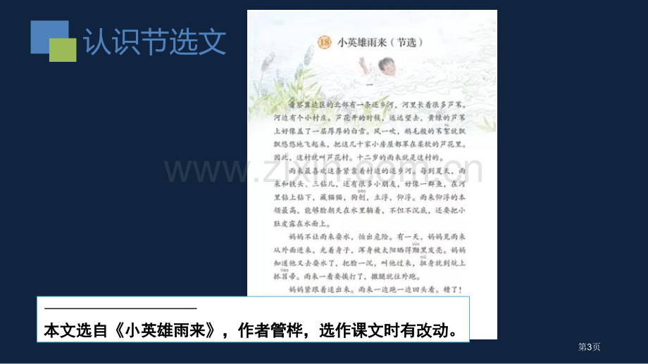 四年级语文小英雄雨来节选ppt省公开课一等奖新名师比赛一等奖课件.pptx_第3页