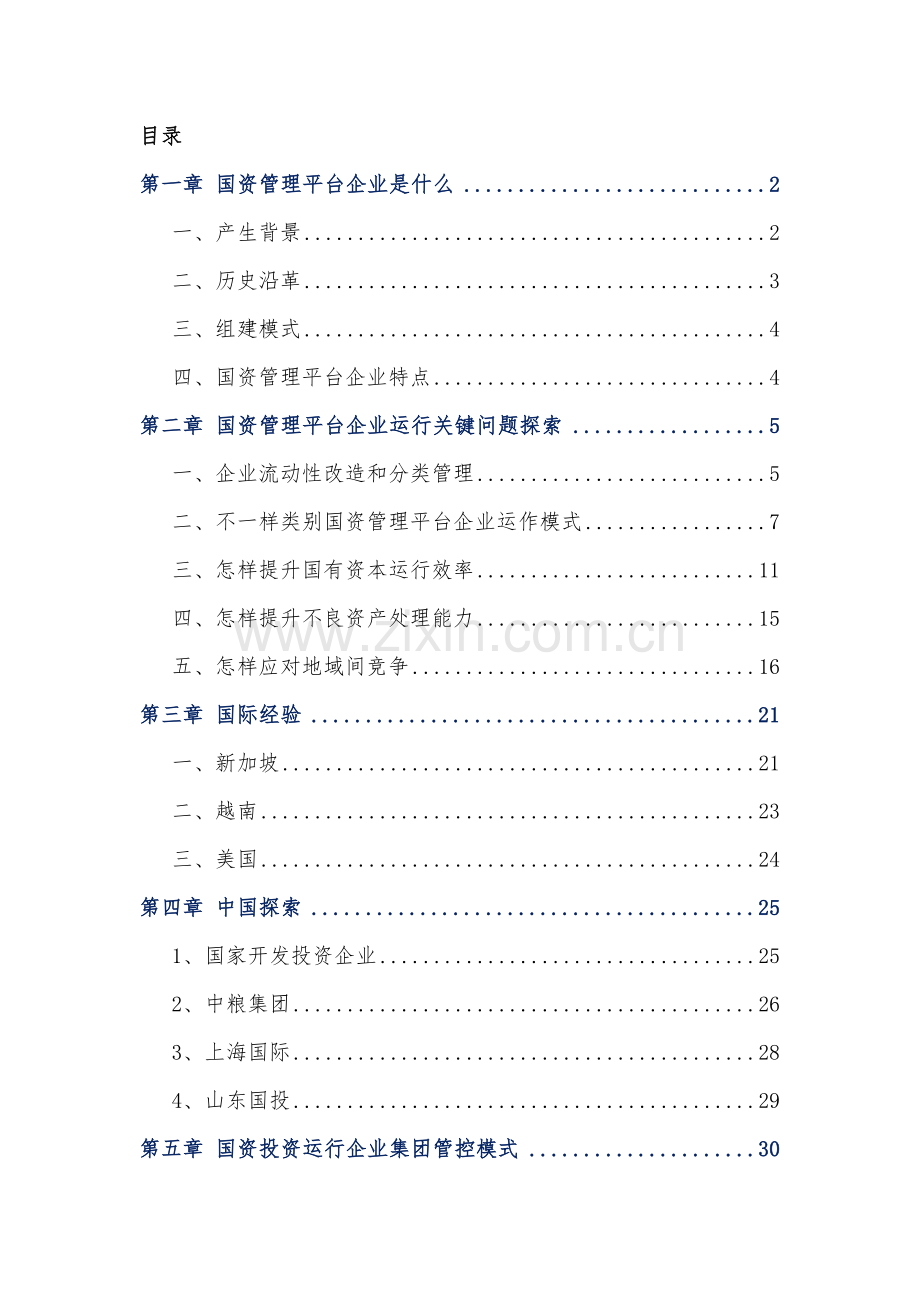 国资投资运营公司运营模式专项研究报告.docx_第2页