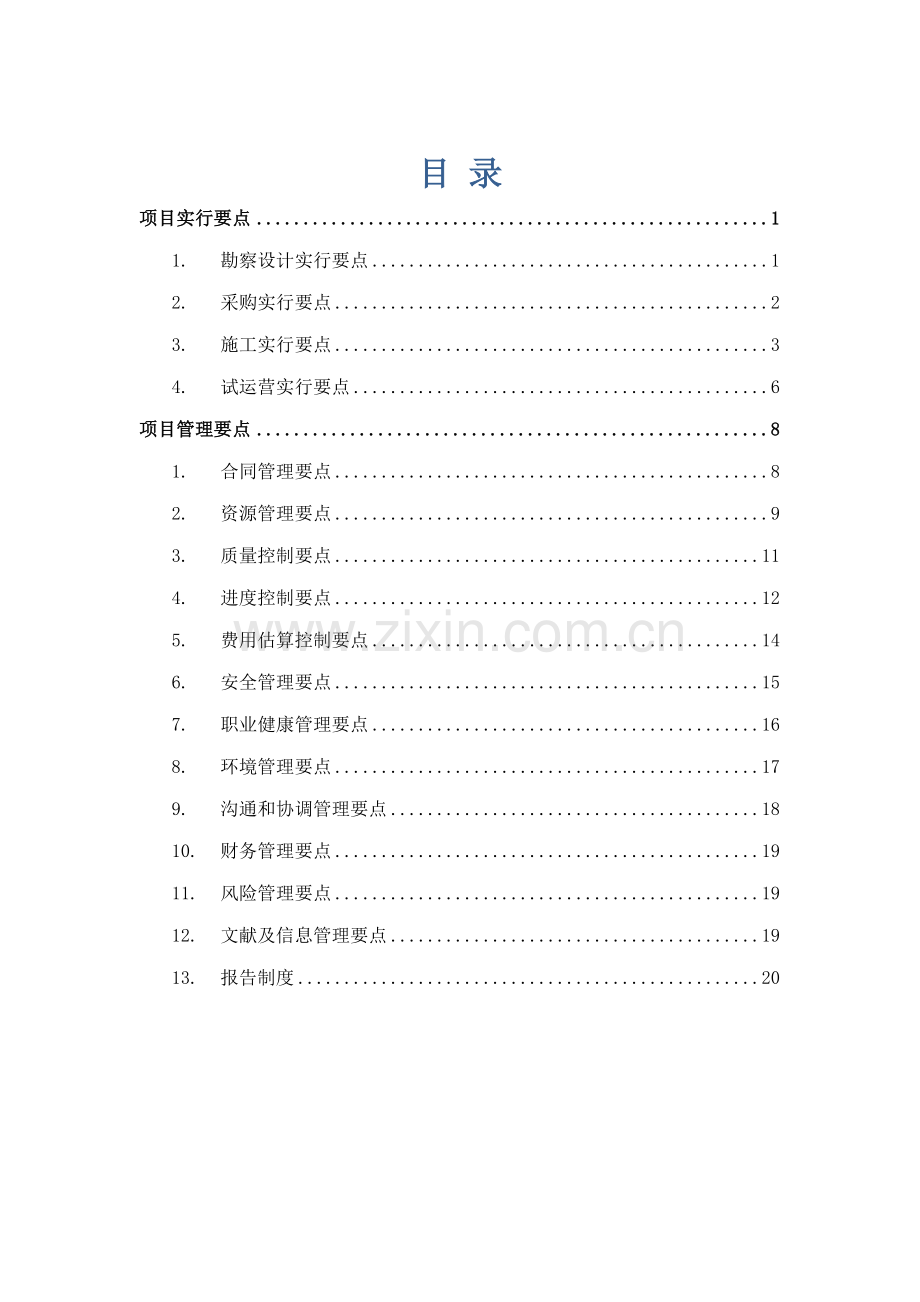 专项项目实施及管理核心要点.docx_第1页