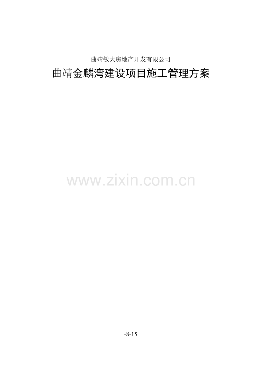 建设专项项目综合施工管理专题方案.docx_第1页