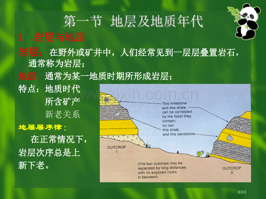 地层古生物省公共课一等奖全国赛课获奖课件.pptx_第3页