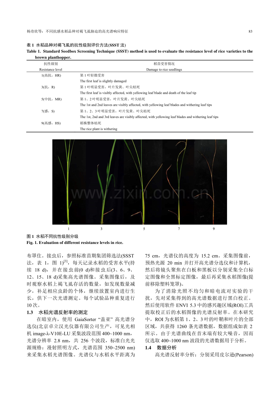 不同抗感水稻品种对褐飞虱胁迫的高光谱响应特征.pdf_第3页