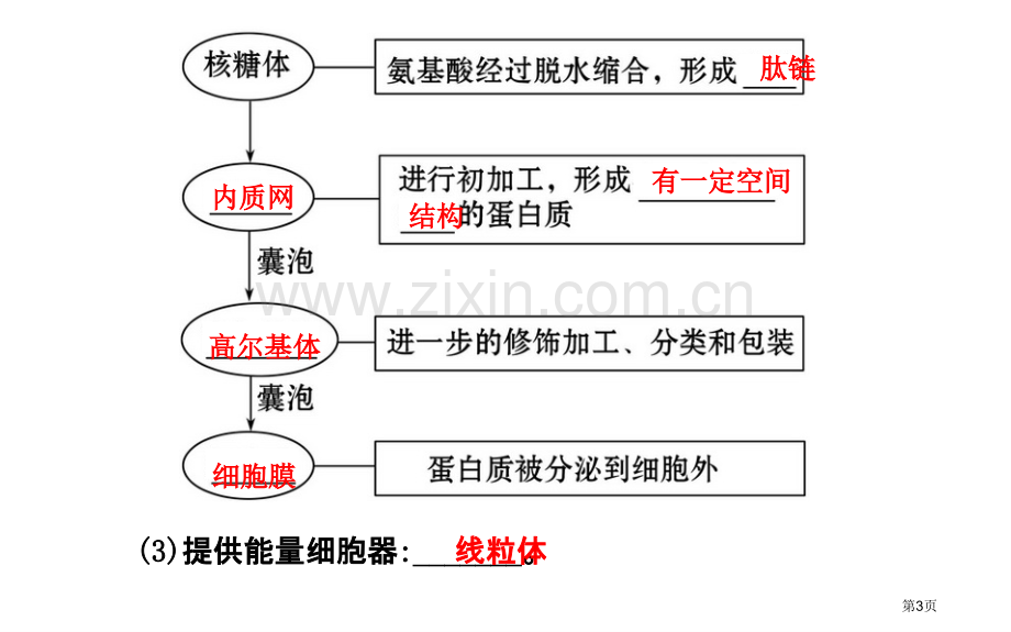 学年高中生物必修一细胞器之间的协调配合和细胞的生物膜系统省公共课一等奖全国赛课获奖课件.pptx_第3页