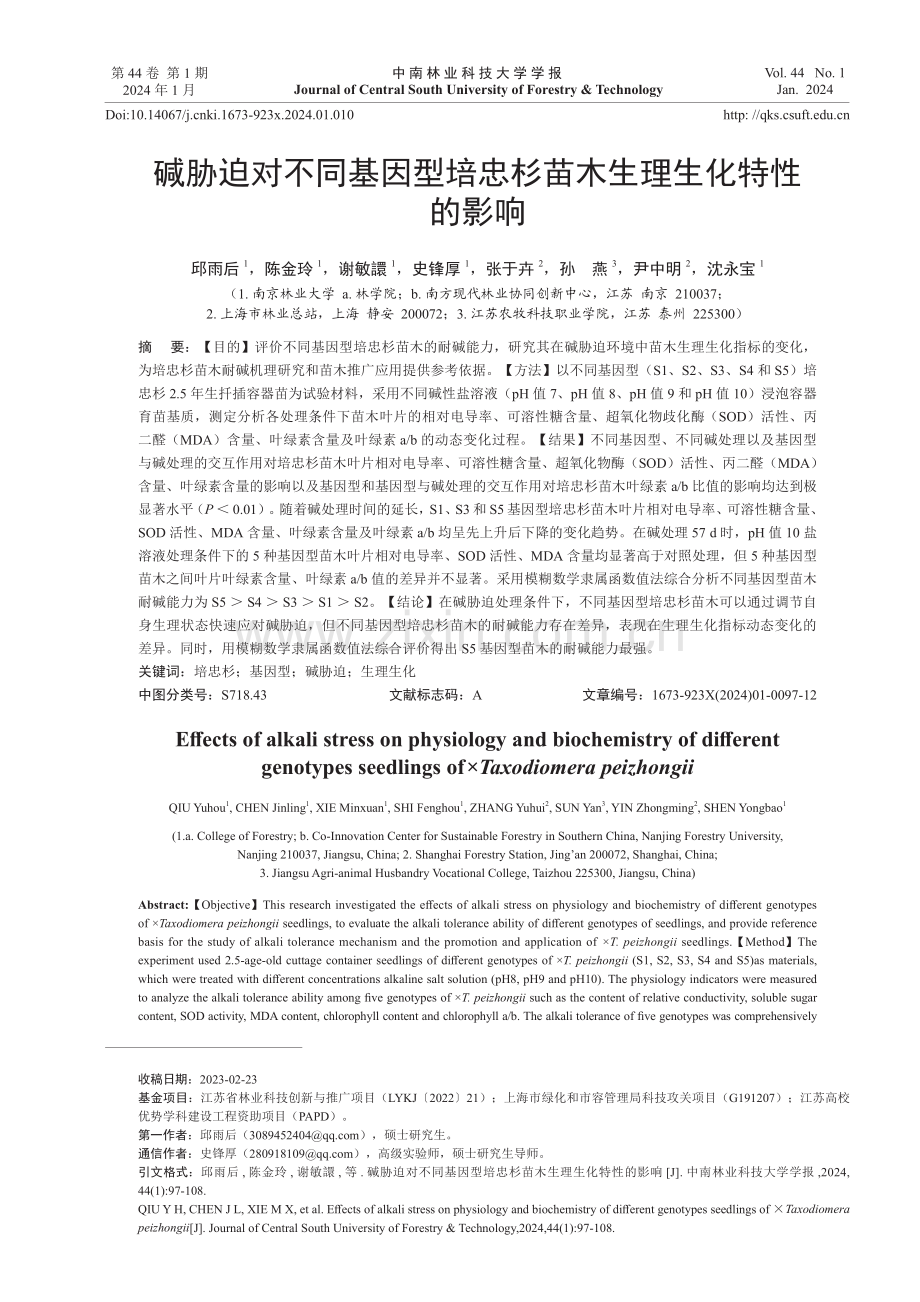 碱胁迫对不同基因型培忠杉苗木生理生化特性的影响.pdf_第1页