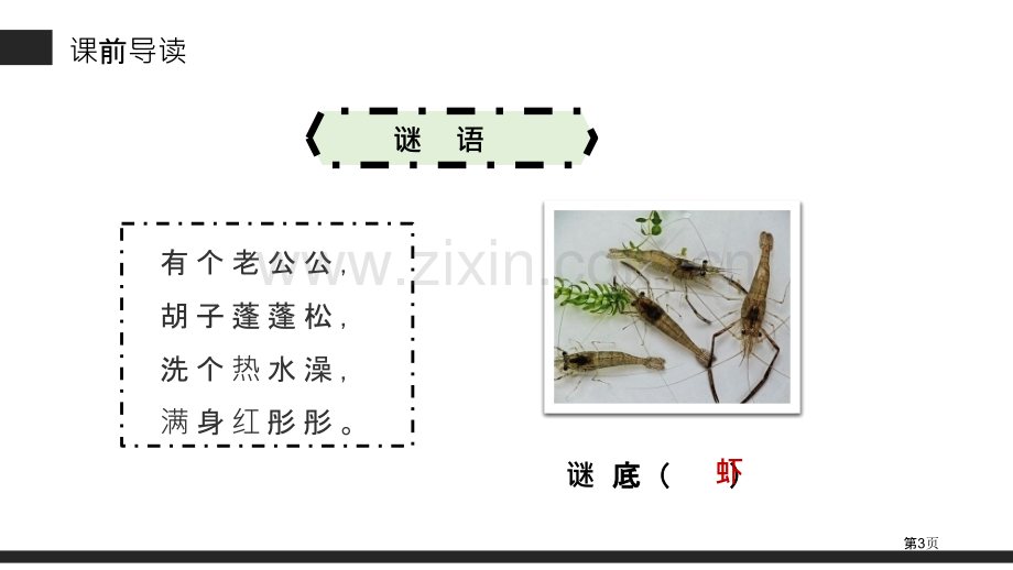 小虾课件省公开课一等奖新名师比赛一等奖课件.pptx_第3页