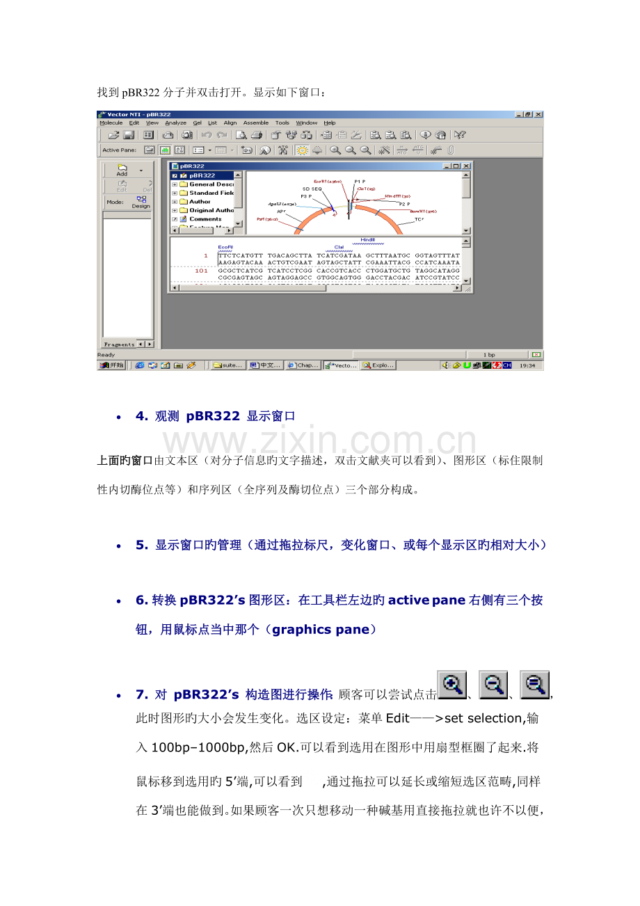 vectorNTI中文使用专项说明书.docx_第3页