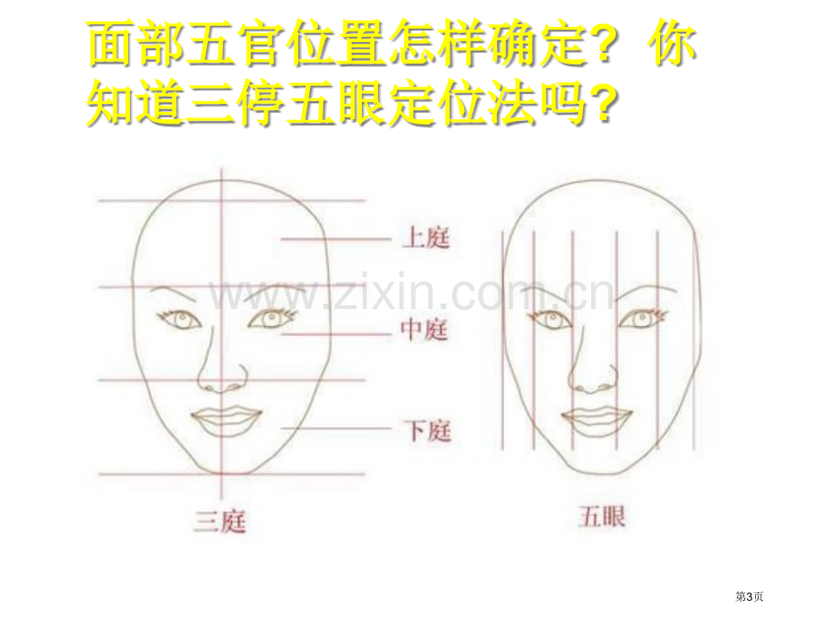 小学美术画人像省公共课一等奖全国赛课获奖课件.pptx_第3页