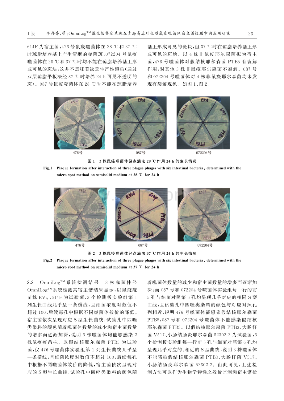 OmniLog TM微生物鉴定系统在青海高原野生型鼠疫噬菌体宿主谱检测中的应用研究.pdf_第3页