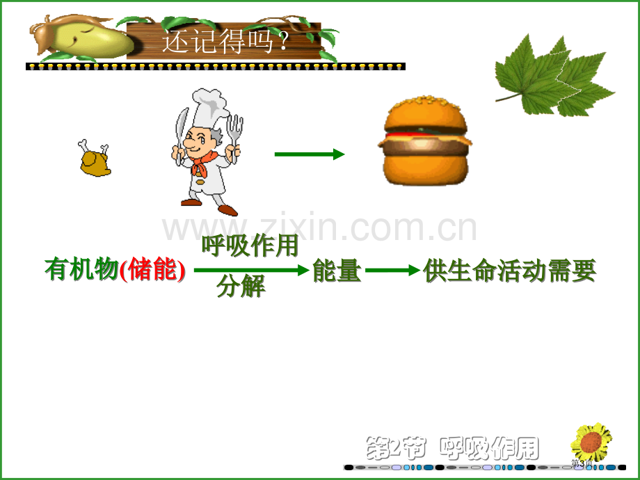 七年级生物植物的呼吸作用省公共课一等奖全国赛课获奖课件.pptx_第3页