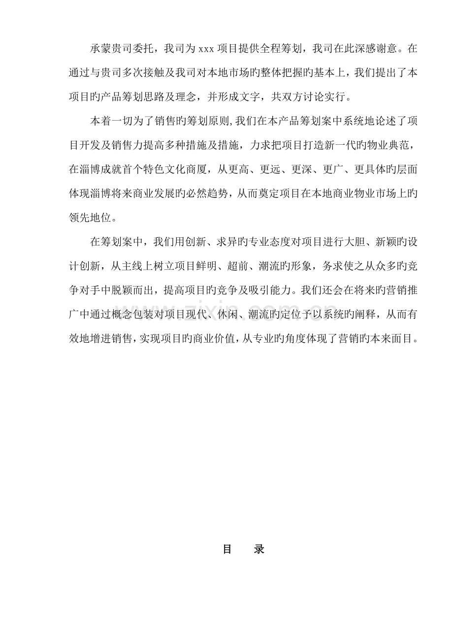 专项项目产品专题策划报告.docx_第2页