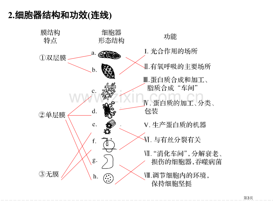 一轮复习细胞器与生物膜系统省公共课一等奖全国赛课获奖课件.pptx_第3页