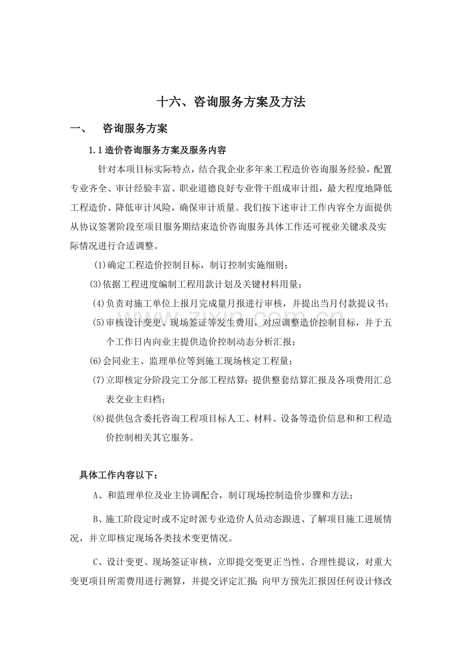 审计实施专项方案.doc_第1页