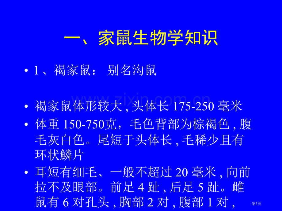 常见鼠类的生物学及其防治省公共课一等奖全国赛课获奖课件.pptx_第3页