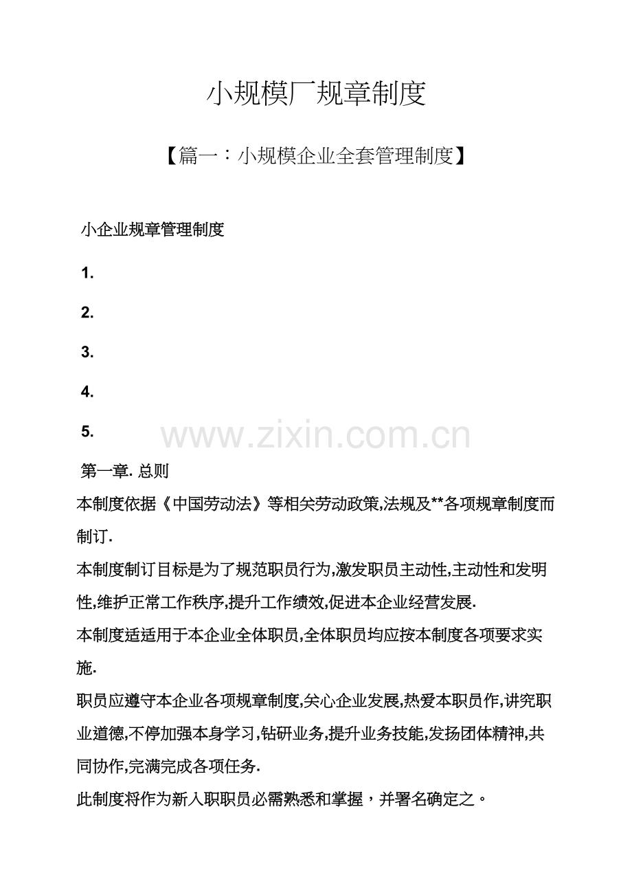 小规模厂专项规章新规制度.docx_第1页