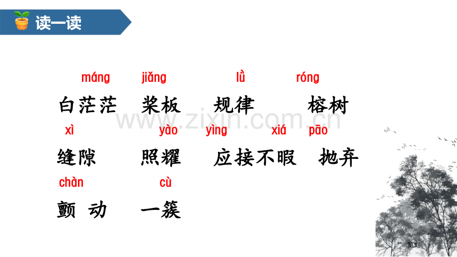 五年级语文上册鸟的天堂省公开课一等奖新名师比赛一等奖课件.pptx_第3页