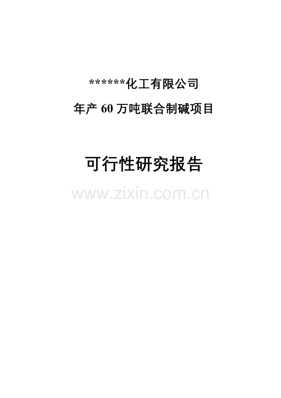 某化工公司年产60万吨联合制碱项目建设可行性研究报告书.doc_第1页